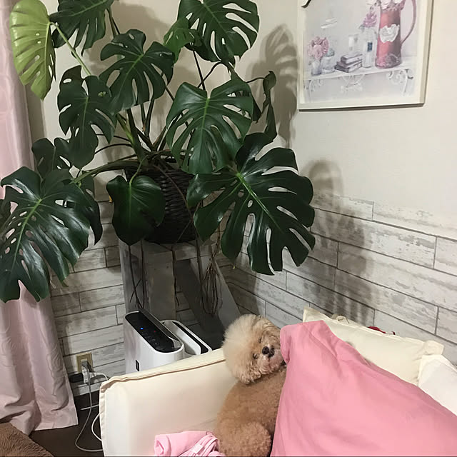 hima820さんの実例写真