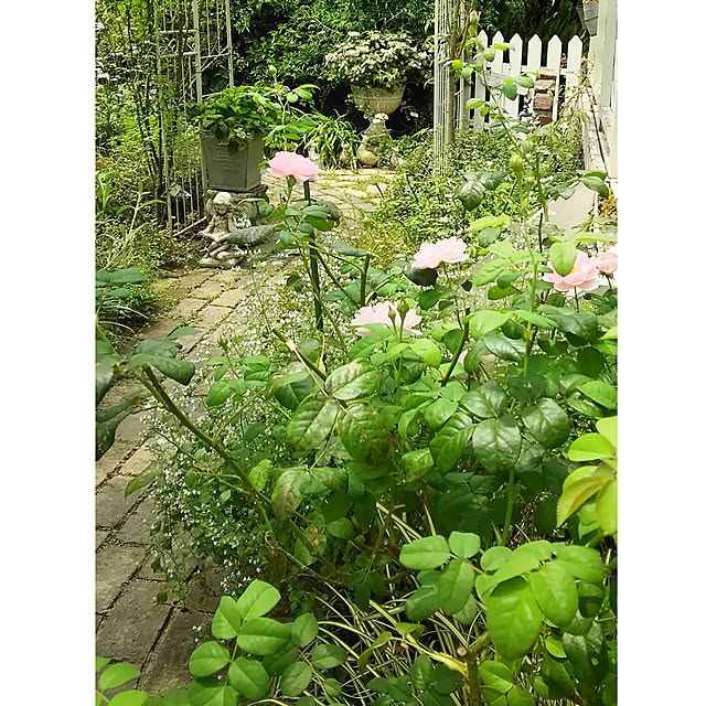 s.mamaさんの実例写真