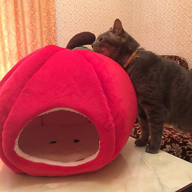 akekuroankoさんの実例写真