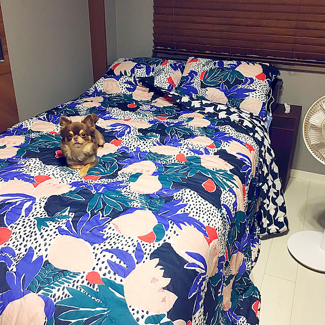 Musashiさんの実例写真
