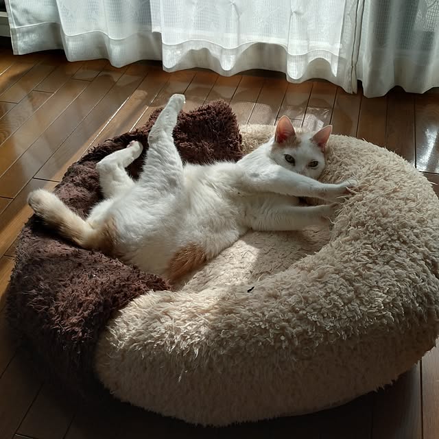 NOAHさんの部屋