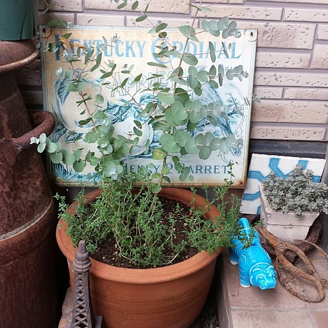 NaNanさんの実例写真