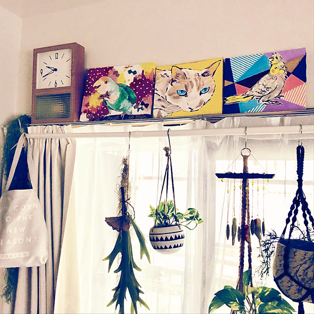 parrotさんの実例写真