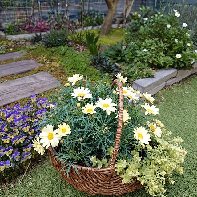 coconathuさんの実例写真