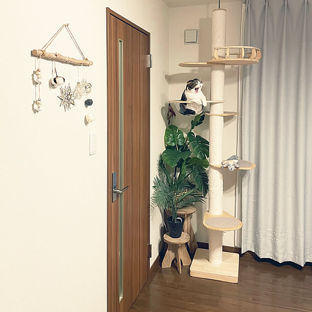 tansukeさんの部屋