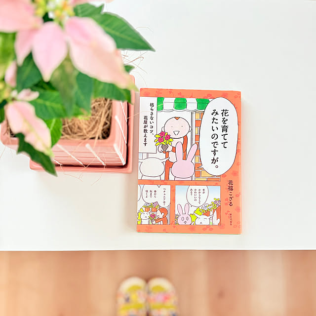 usaco.さんの部屋