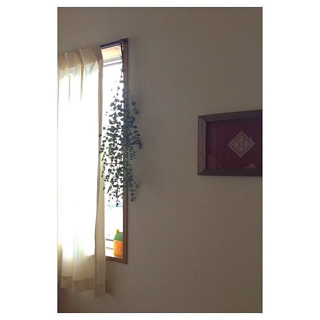 Pineさんの実例写真