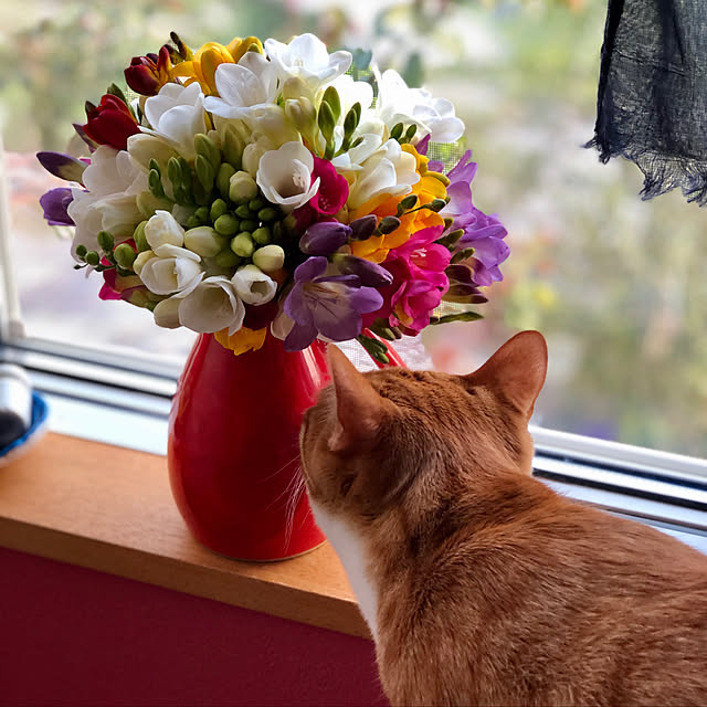 akaneさんの実例写真