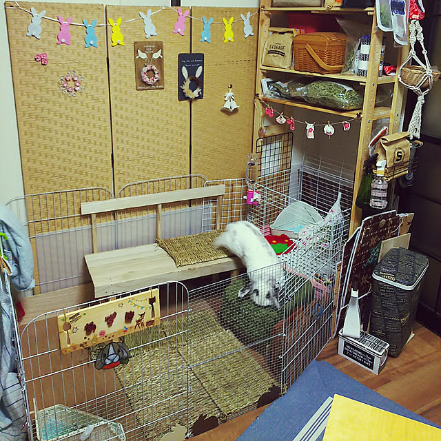 WASABIさんの実例写真