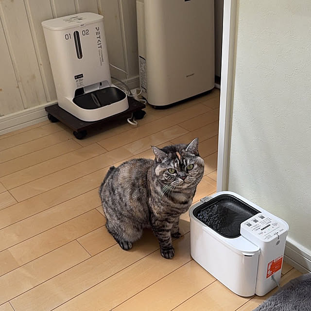 nekozo328さんの実例写真