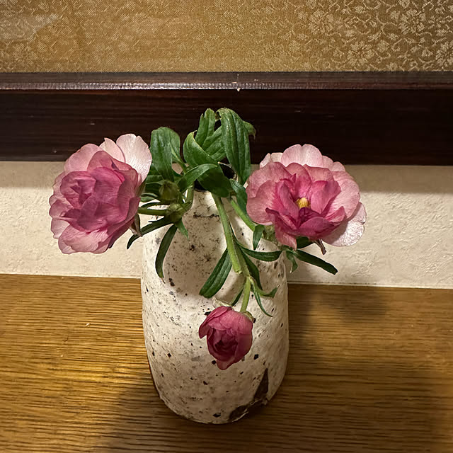 mamizaさんの部屋