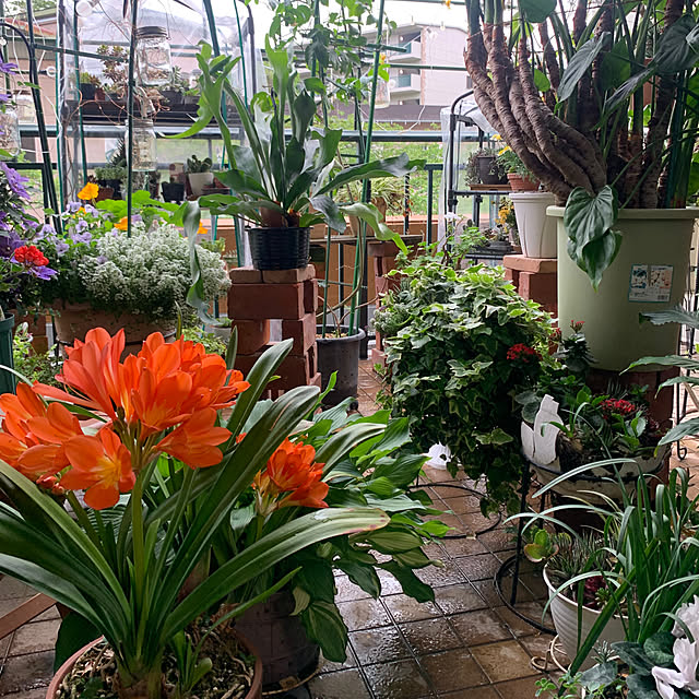 Aqettyさんの部屋