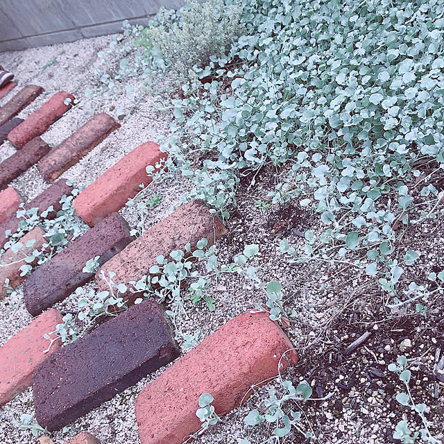Yukicotoさんの実例写真