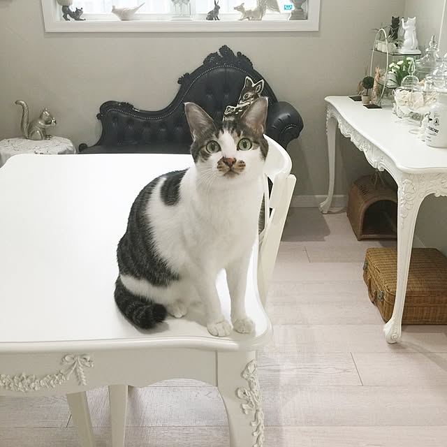 yuchiさんの実例写真
