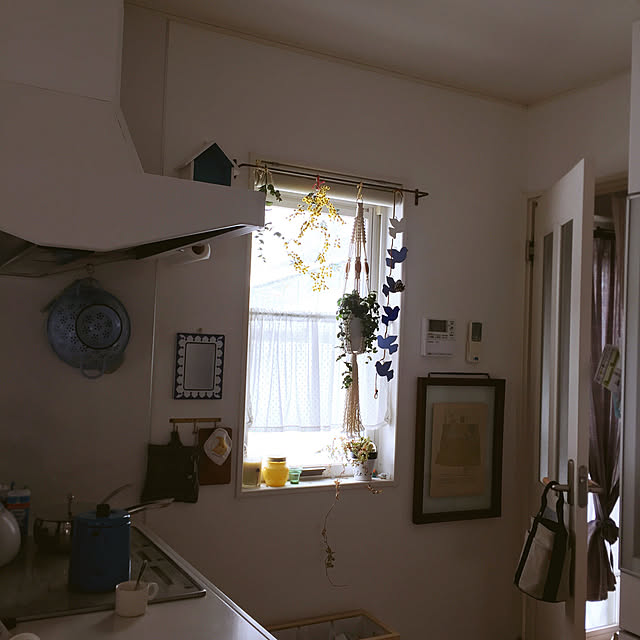 pariさんの実例写真