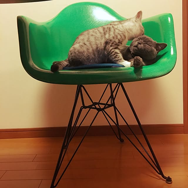 Shojiさんの実例写真