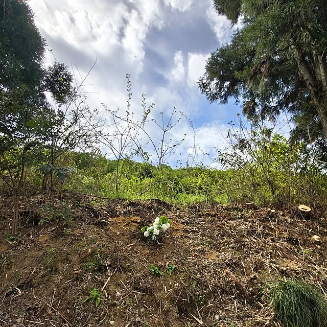 Rubiconさんの部屋