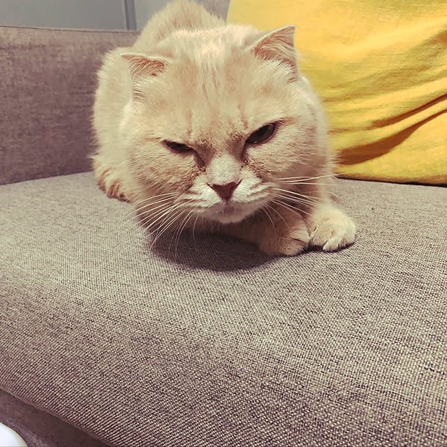 priimo04114さんの実例写真