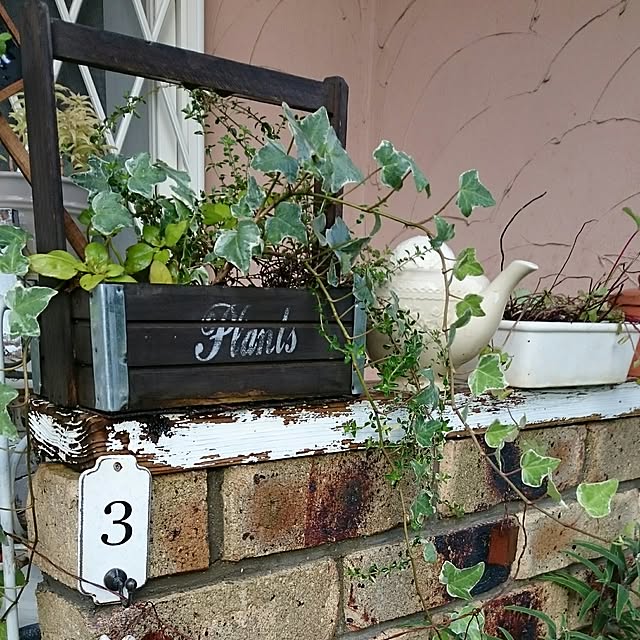 実例写真