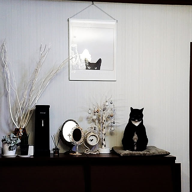 部屋全体/猫のインテリア実例 - 2022-01-22 13:50:51