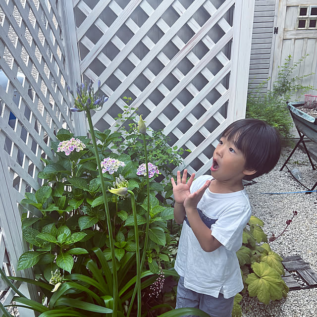 hinamamaさんの部屋
