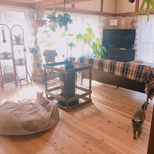 kinokotoriさんの実例写真