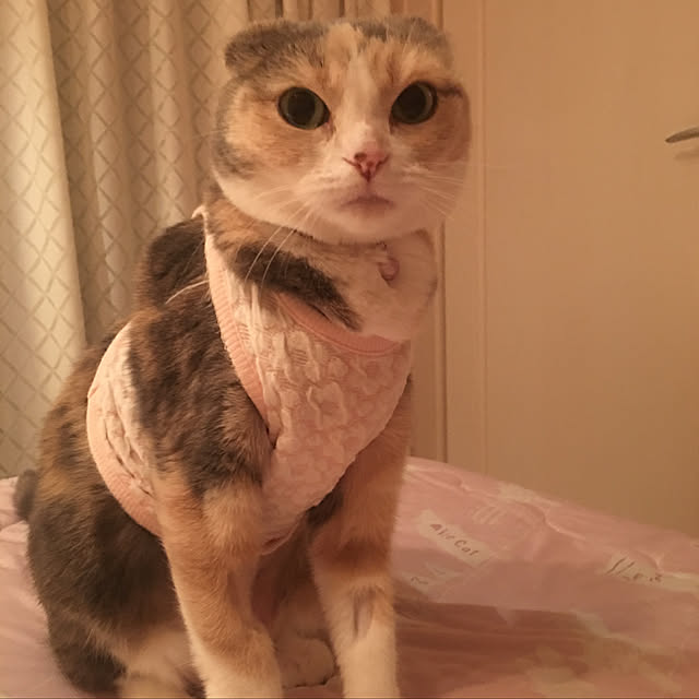Mari-aさんの実例写真