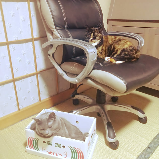h-a-ri.mamaさんの実例写真