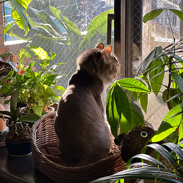 Kyouさんの部屋