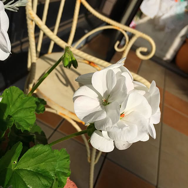 Sonokoさんの実例写真