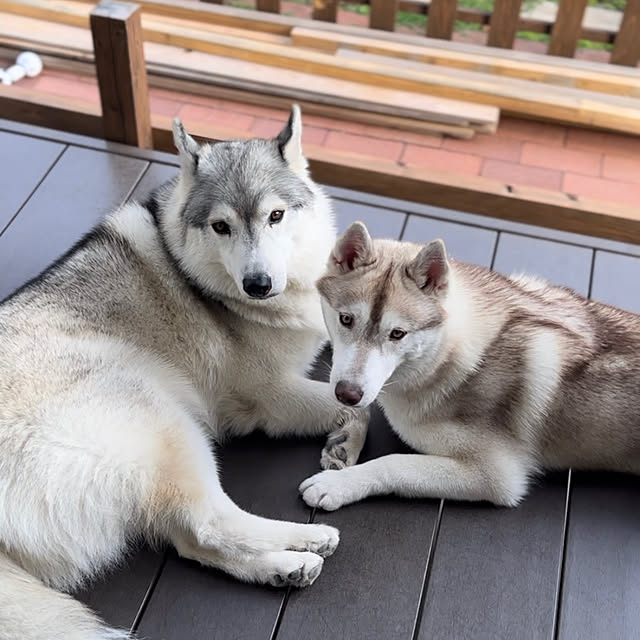 khさんの実例写真