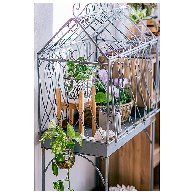 ayamaruさんの実例写真