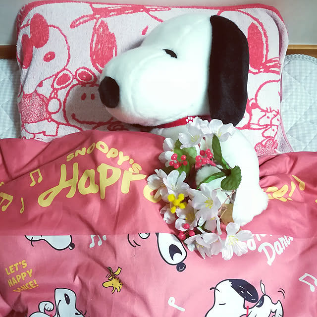 satosanさんの実例写真