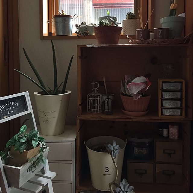 annaさんの実例写真