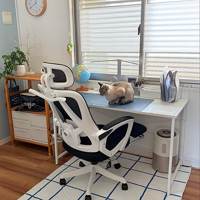 amさんの実例写真