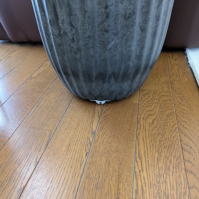 Renさんの部屋