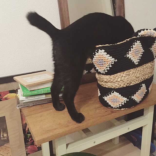 adgjmpw0205さんの実例写真