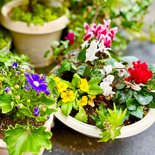 tututu0204さんの部屋