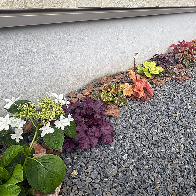 Haruさんの部屋