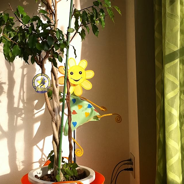 リビング/植物のインテリア実例 - 2012-05-19 11:15:22