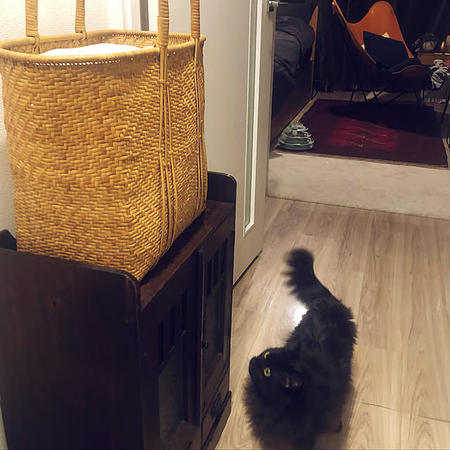 annさんの実例写真