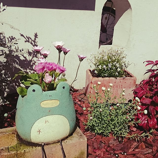 soumamaさんの実例写真