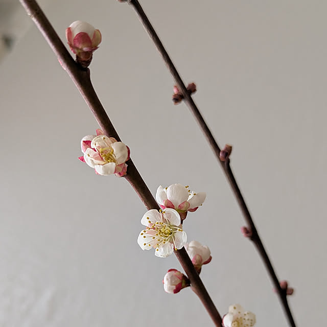 yukkin29さんの部屋