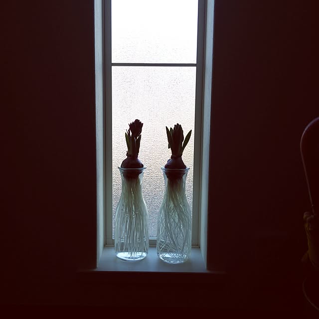 SAIさんの実例写真