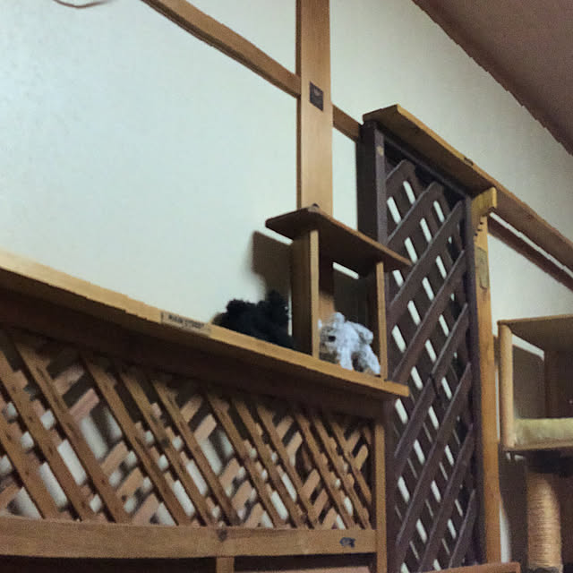 bebi.kさんの実例写真