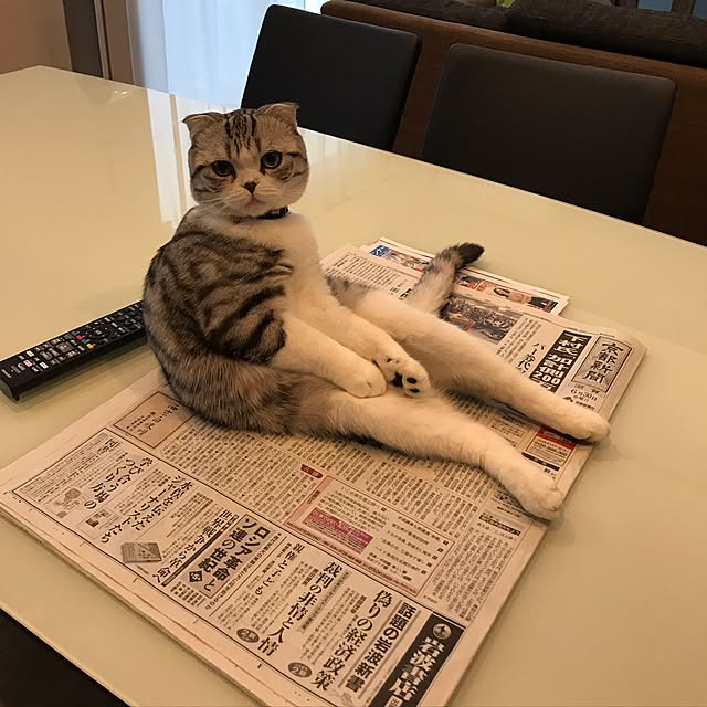 Dahliaさんの実例写真