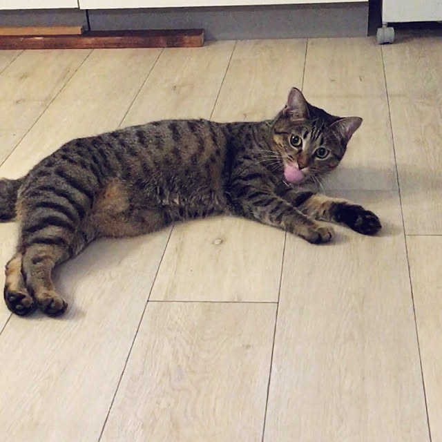 Mさんの実例写真