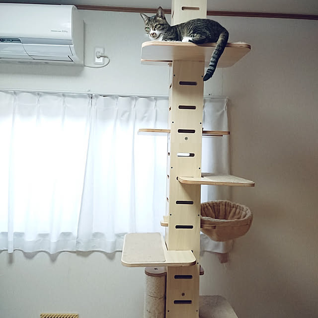 nachiさんの実例写真
