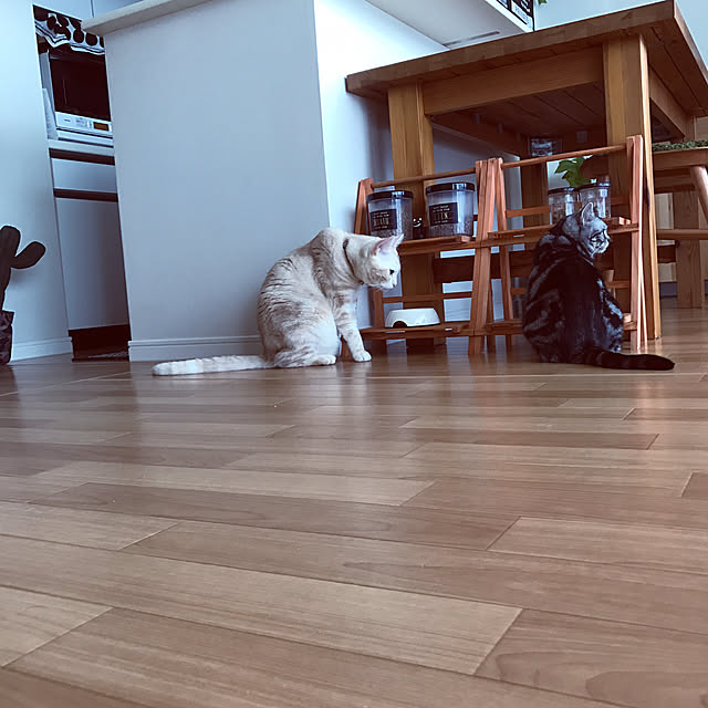 hiyupan88さんの実例写真
