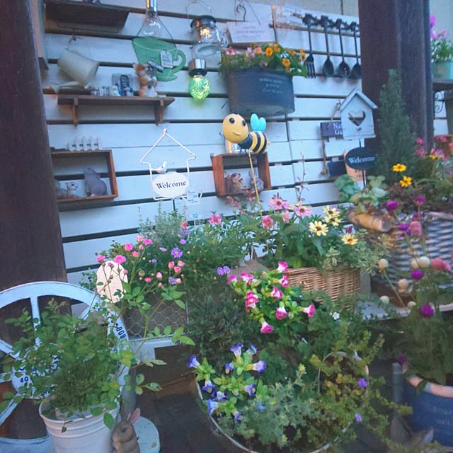 seiko44さんの実例写真